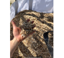 Paillage naturel de Miscanthus - Big bag 1 m³