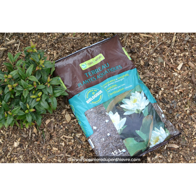 Terreau plantes aquatiques
