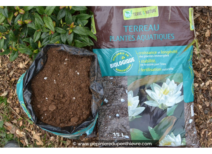 Terreau plantes aquatiques