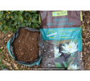 Terreau plantes aquatiques