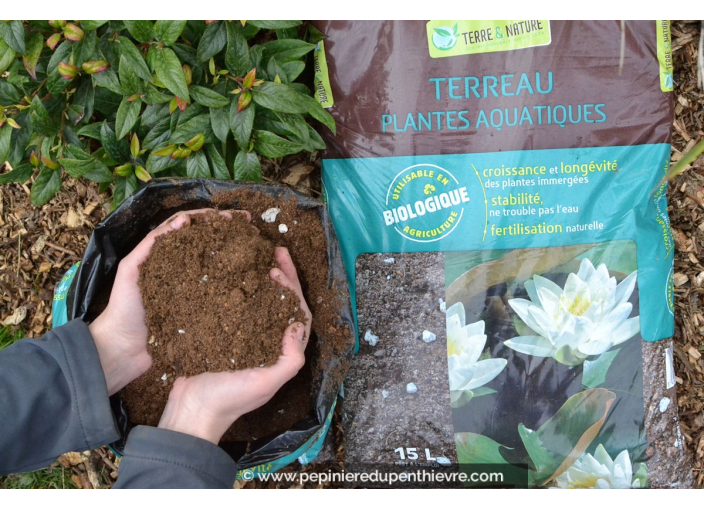 Terreau plantes aquatiques