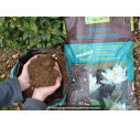 Terreau plantes aquatiques