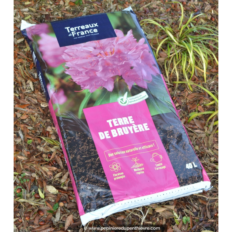 Pivoine Terre De Bruyere Ou Terreau
