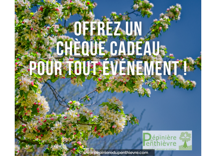 Chèque cadeau Chèque cadeau