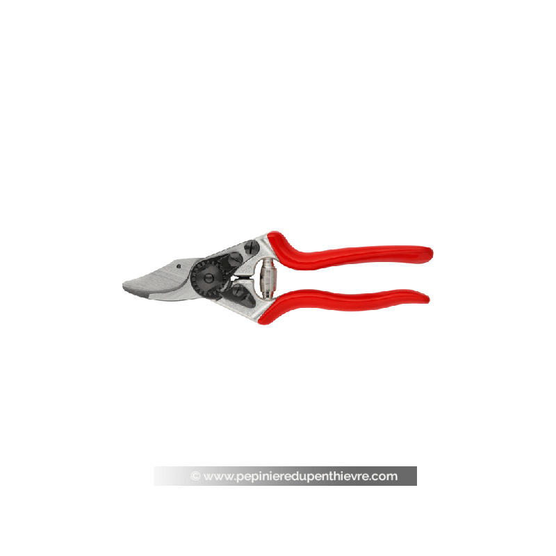 FELCO 6 sécateur