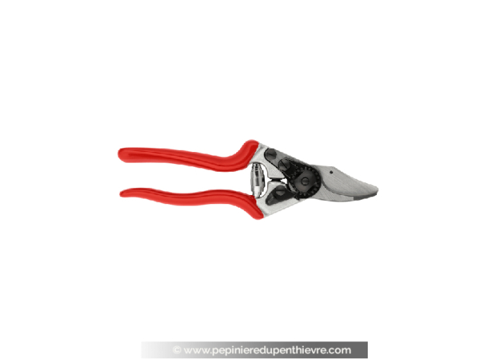 FELCO 16 sécateur