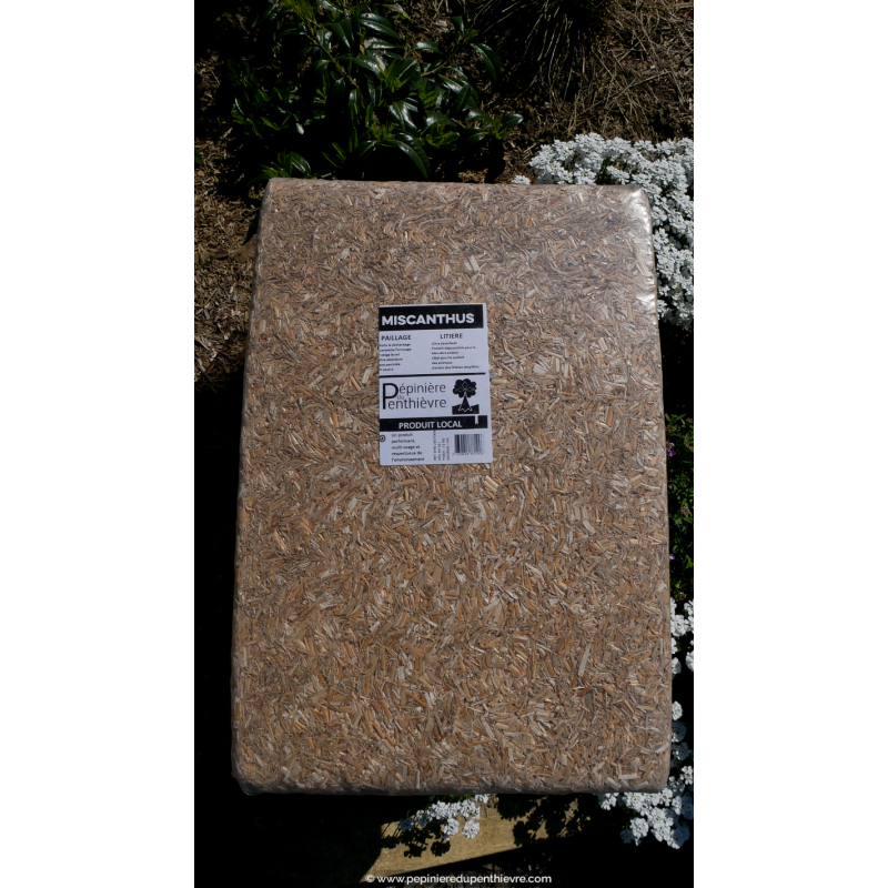 Paillage naturel de Miscanthus