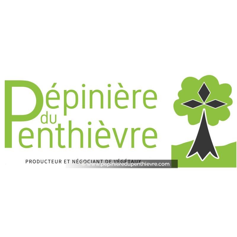 Commande - VANTYGHEM - 25002544