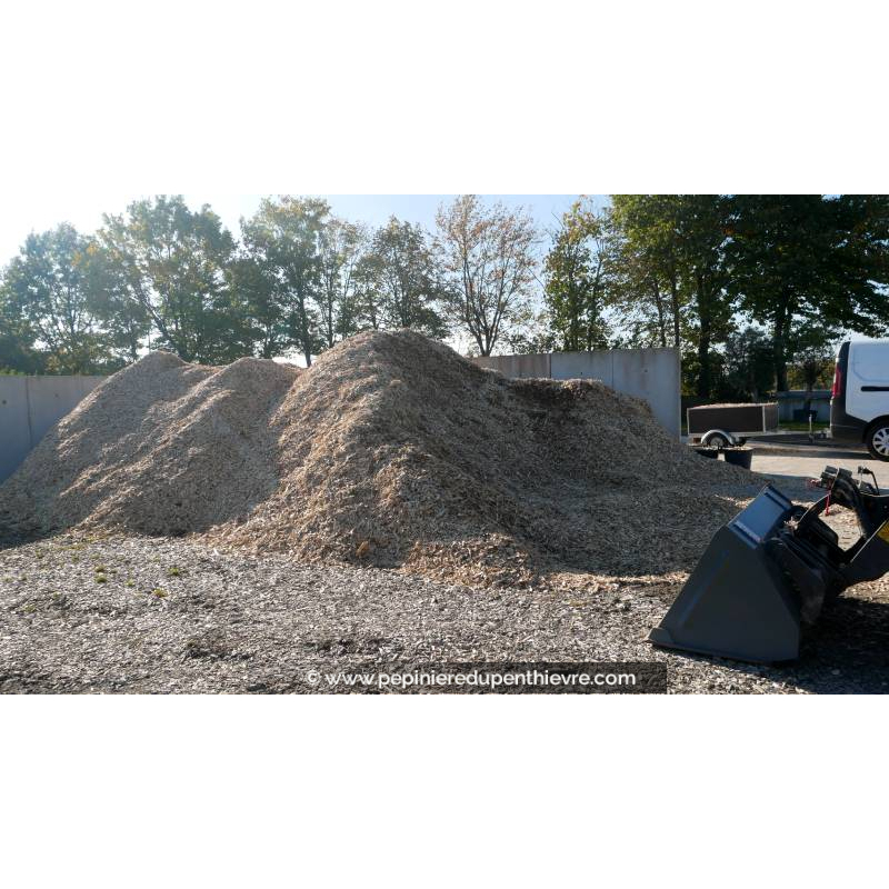 Paillage naturel de Peuplier