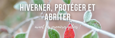 Hiverner, protéger et abriter avant les premières gelées !