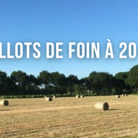 Ballots de foin à 20 €, pour tous vos animaux !