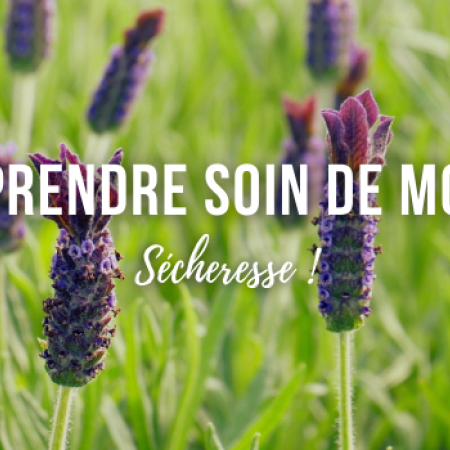 Sécheresse : comment prendre soin de son jardin ?