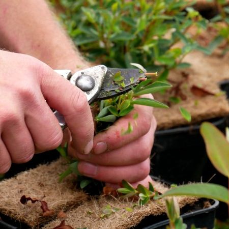 Taille de formation et acclimatation : production 2022-23