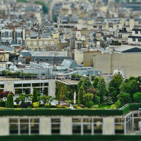 Créez des îlots de fraîcheur : plantez pour l'avenir !