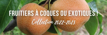 Fruits à coques ou exotiques : collection 2022-2023 