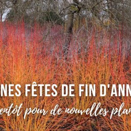 Bonnes fêtes de fin d'année !