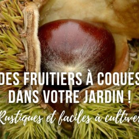 Des fruitiers à coques dans votre jardin !