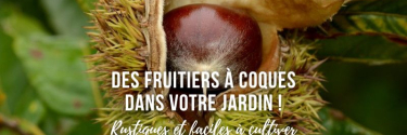 Des fruitiers à coques dans votre jardin !
