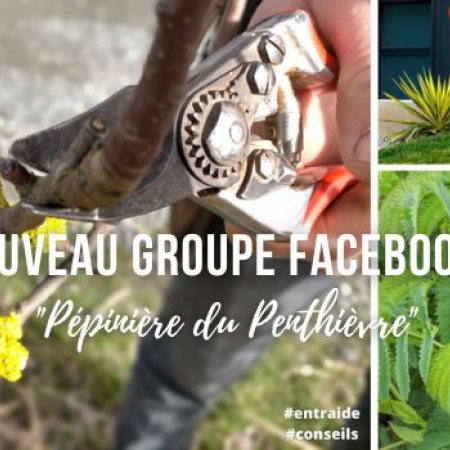 Nouveau groupe Facebook "Pépinière du Penthièvre" !