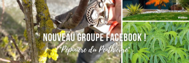 Nouveau groupe Facebook "Pépinière du Penthièvre" !