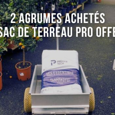 "Bons plants" de la Pépi : 2 agrumes achetés = 1 sac de terreau professionnel offert (*) !