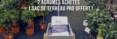 "Bons plants" de la Pépi : 2 agrumes achetés = 1 sac de terreau professionnel offert (*) !