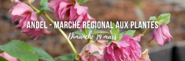 Andel - Marché Régional aux Plantes - dimanche 19 mars 2023