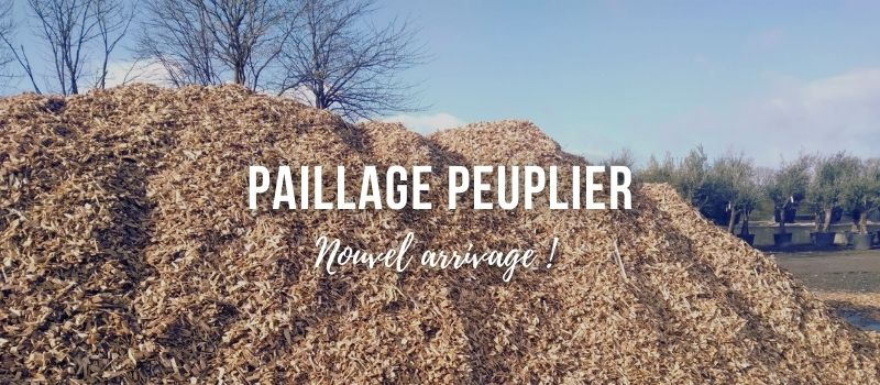 Paillage peuplier : nouvel arrivage !