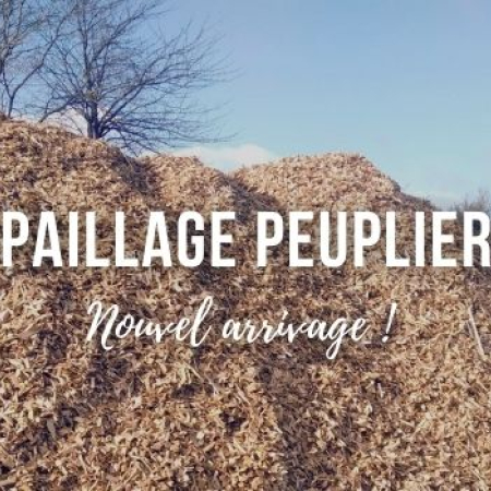 Paillage peuplier : nouvel arrivage !