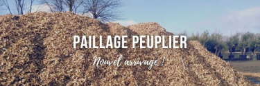 Paillage peuplier : nouvel arrivage !