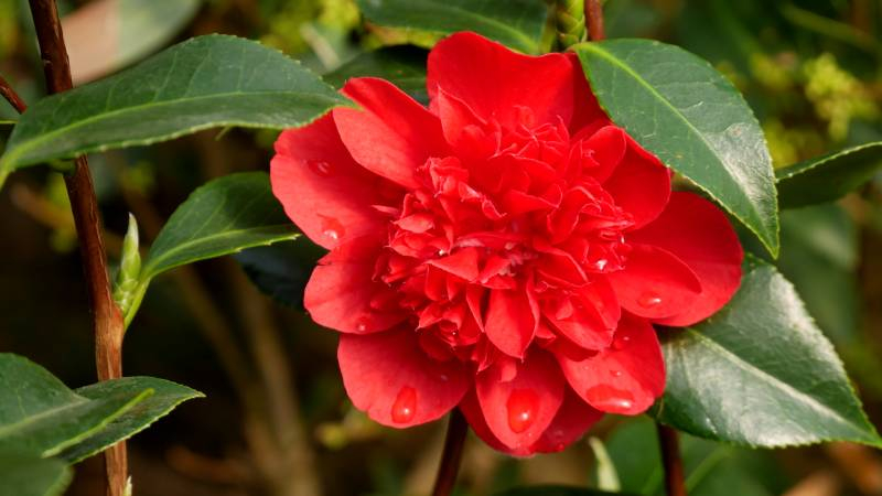 Horaires d'ouverture haute saison