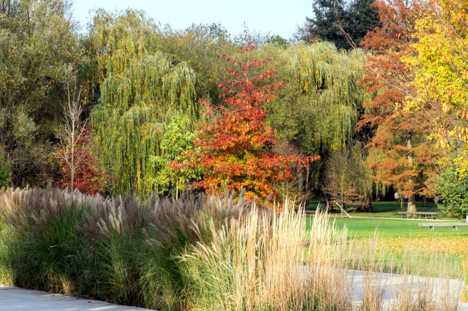 Offrez un chèque cadeau pour Noël !